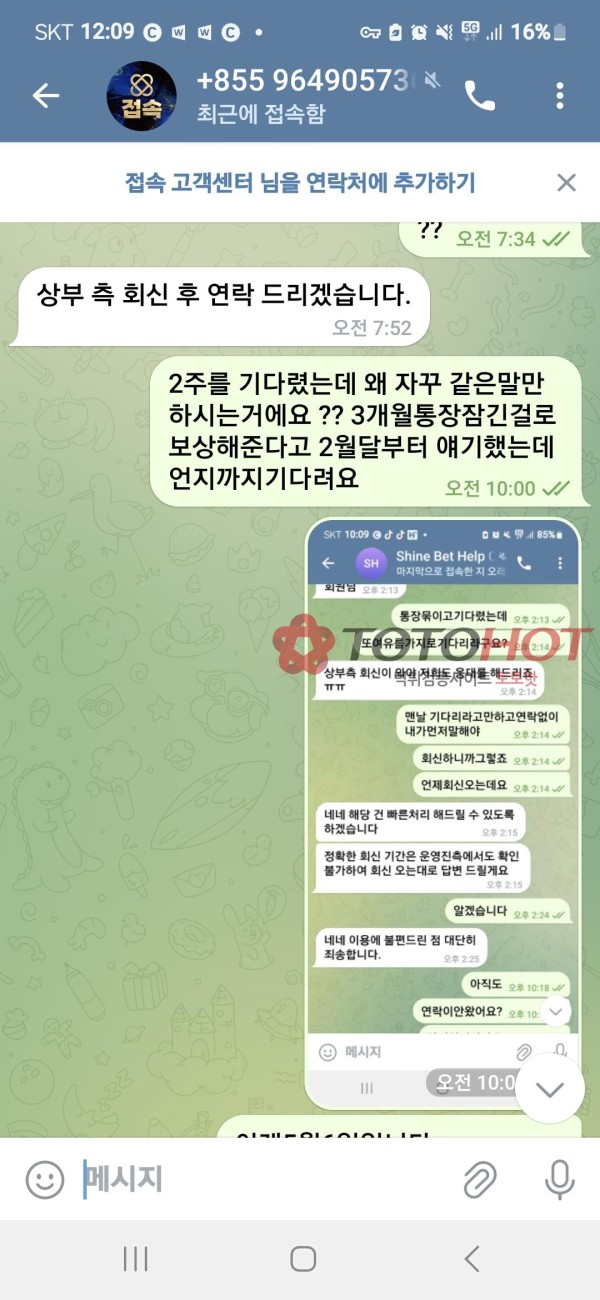 현 접속 구 샤인벳 핑돈 먹튀