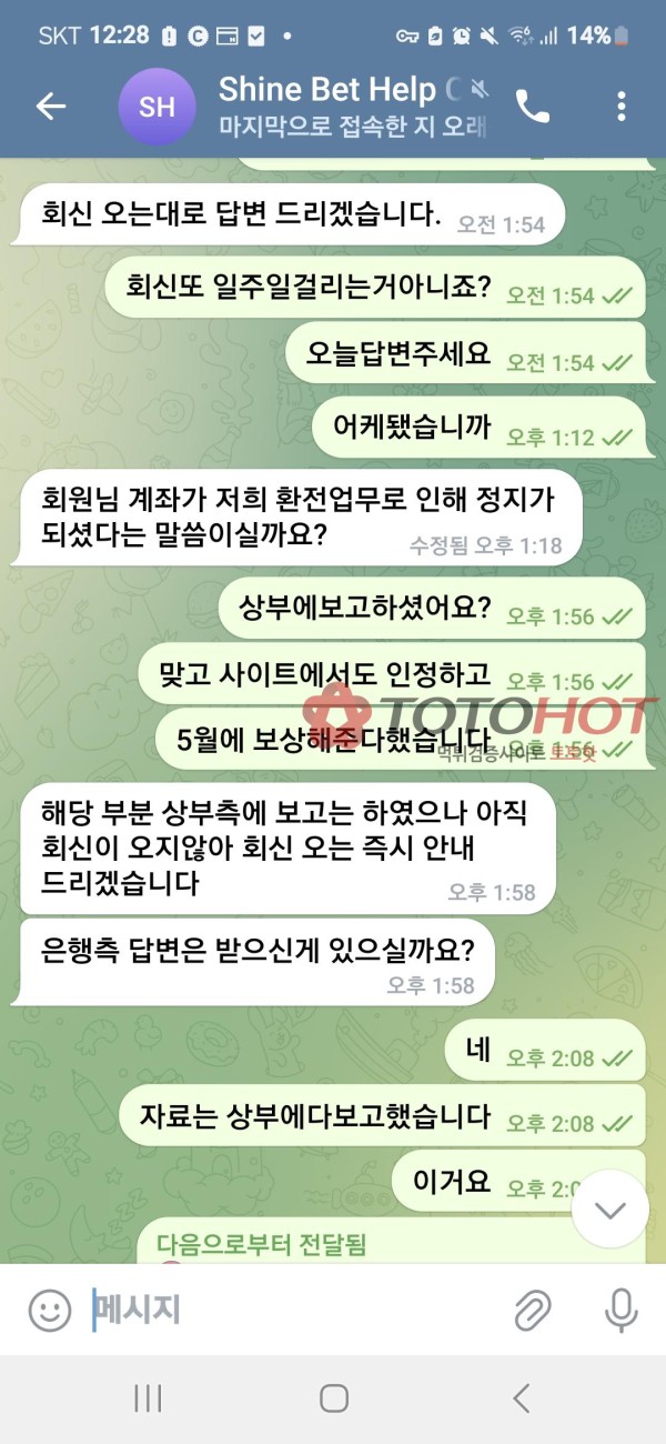 현 접속 구 샤인벳 핑돈 먹튀