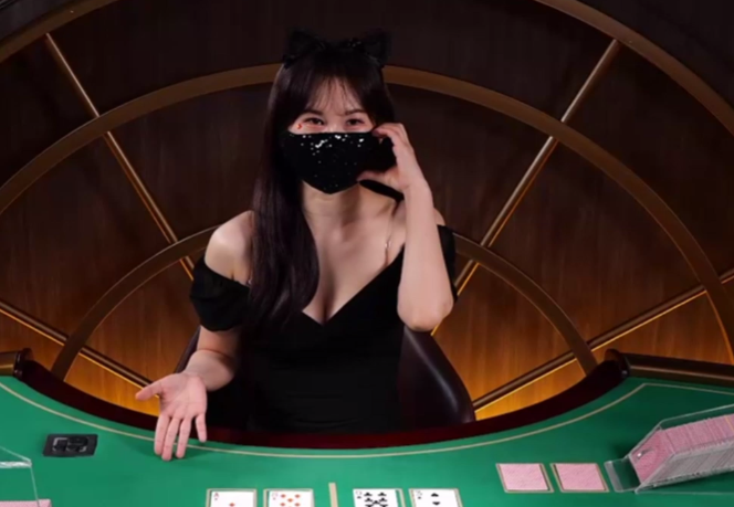 고양이귀에 인생 날아감