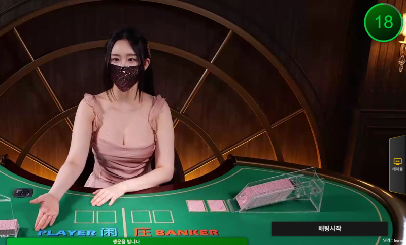 아이린, 인형인가 사람인가