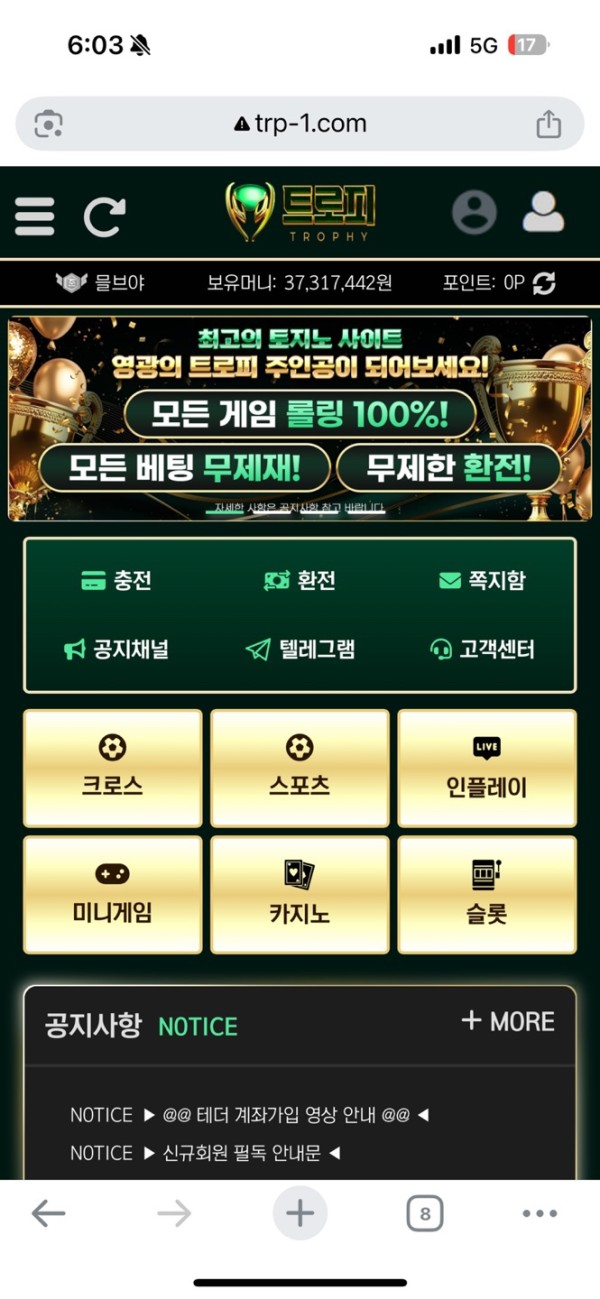 트로피 3700만원 먹튀