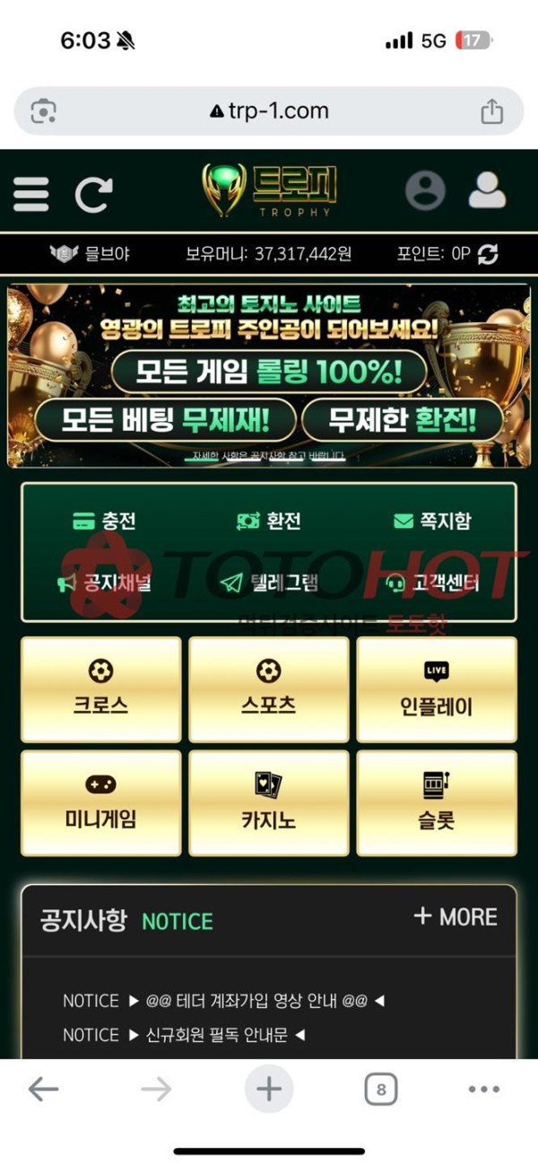 트로피 3700만원 먹튀