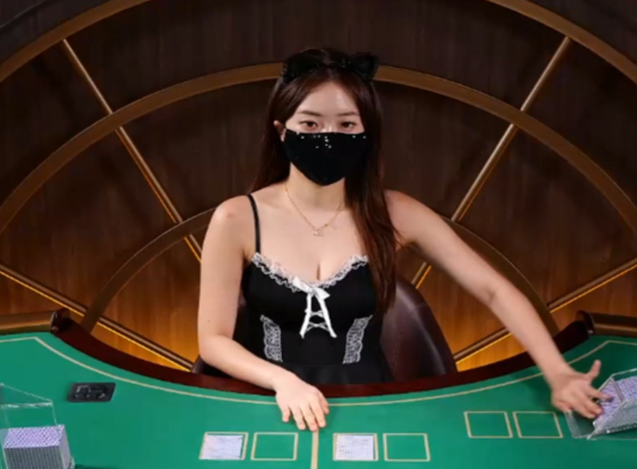 고양이 누나 등장하자마자 3연벳 성공ㅋㅋ