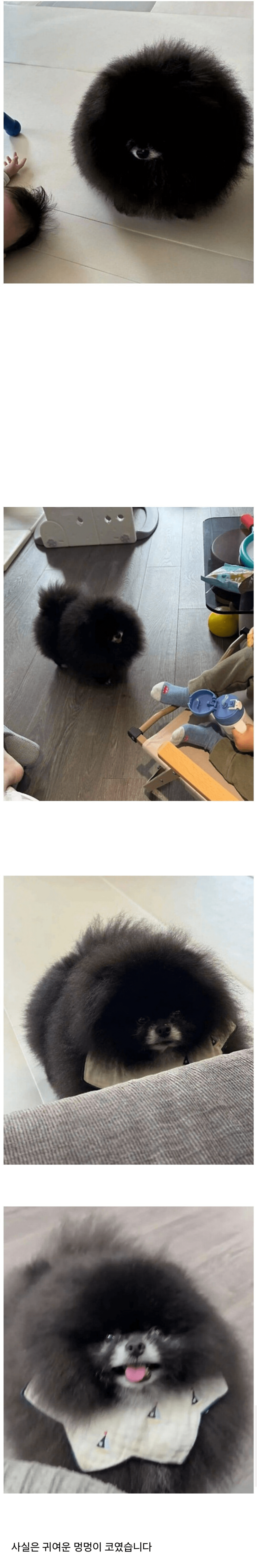 정체 불명의 외눈박이 생명체 ㄷㄷ