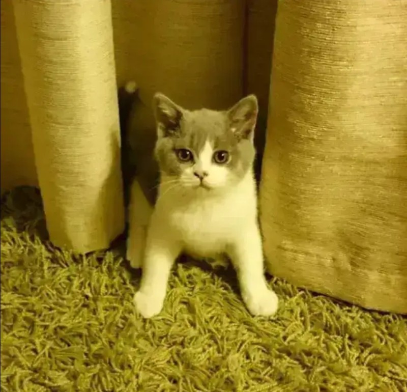 용맹한 성장ㅋㅋ