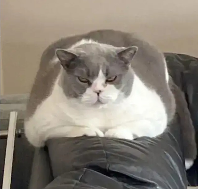 용맹한 성장ㅋㅋ