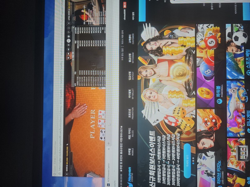 뉴헤븐 23일후기