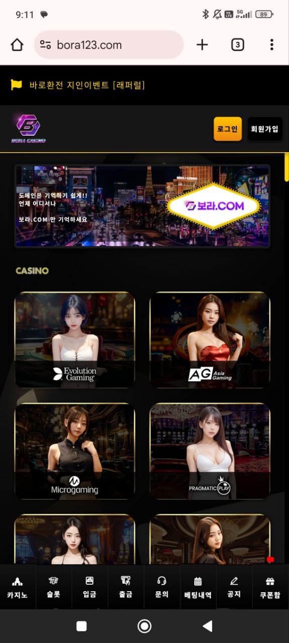 보라카지노 45만원도 먹튀하는 버러지 사이트입니다