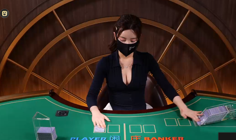 딜러랑 아이컨택 하는 그 느낌ㅋㅋ