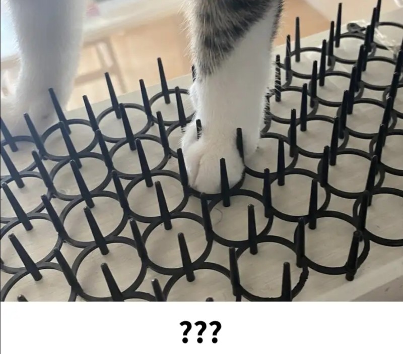 고양이접근방지패드구매후기