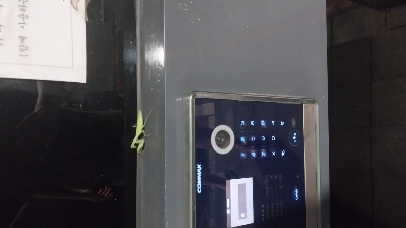 문앞에 사마귀가 ㅎ