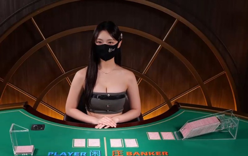 딜러보면서 힐링 중