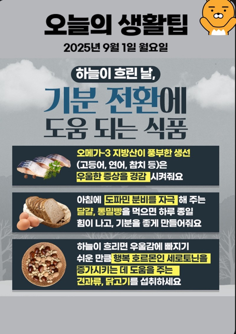 오늘의 생활꿀팁