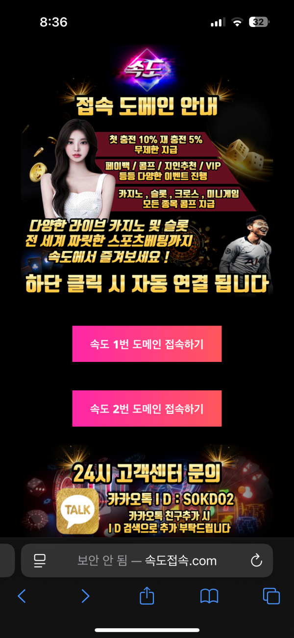 속도 싸이트먹튀