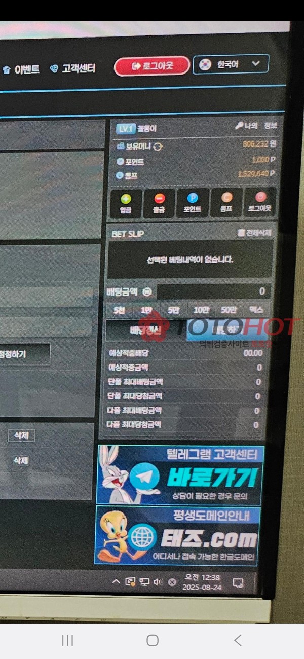 태즈 , 테즈 , taz , 구피 동일한 사이트 먹튀맛집!