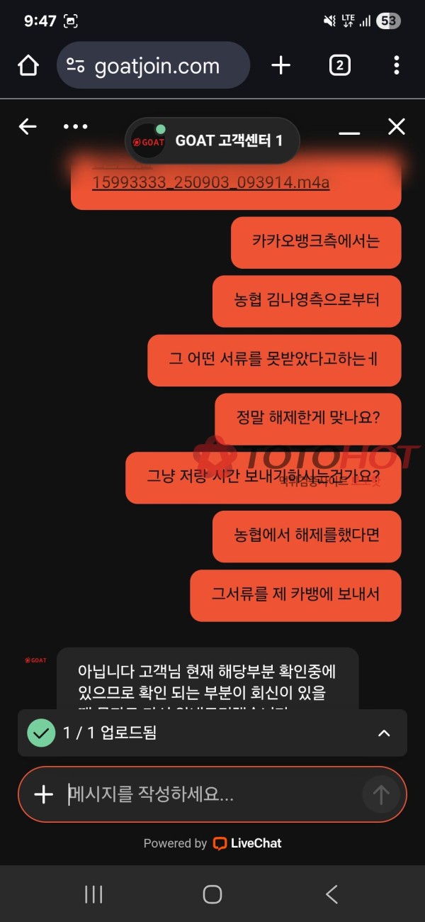 고투벳 킹콩티비