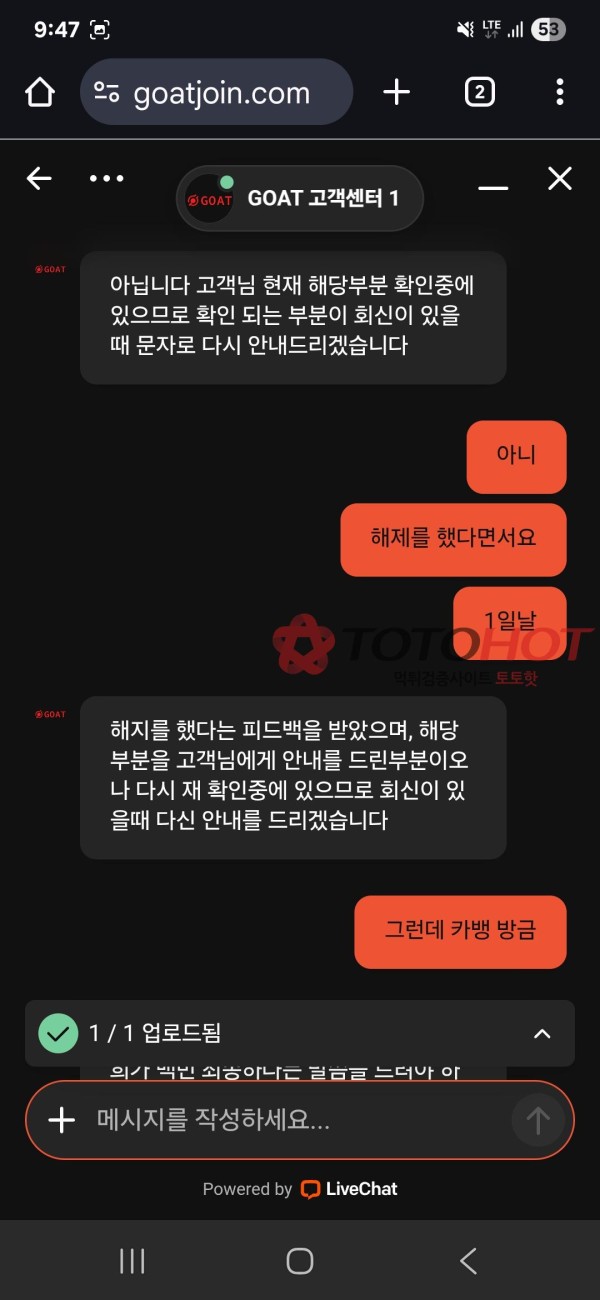 고투벳 킹콩티비