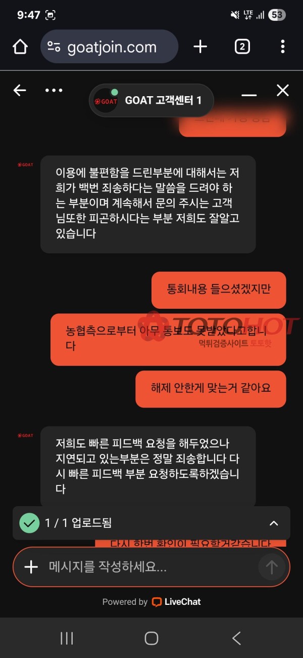 고투벳 킹콩티비