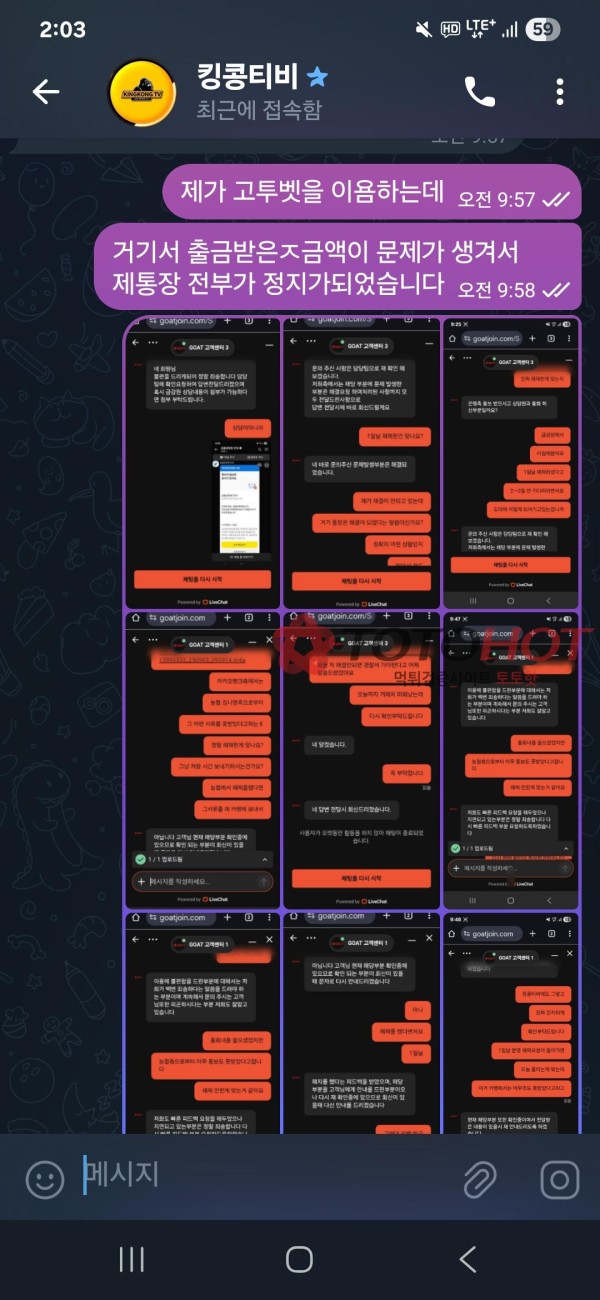 고투벳 킹콩티비