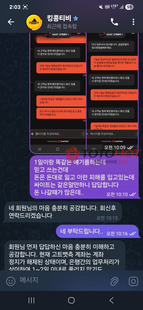 고투벳 킹콩티비