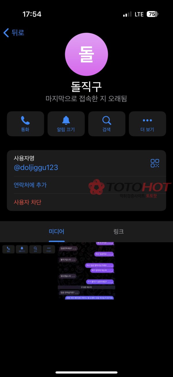 돌직구 사칭 먹튀 먹사 doljiggu11/dgg33