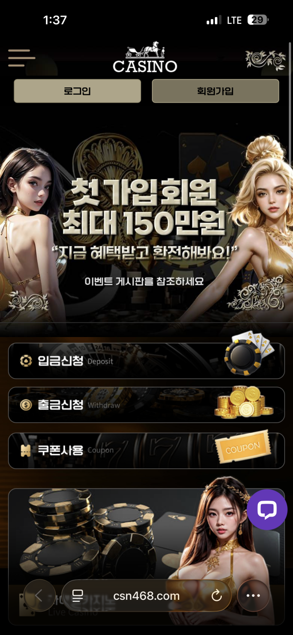 카지노 먹튀