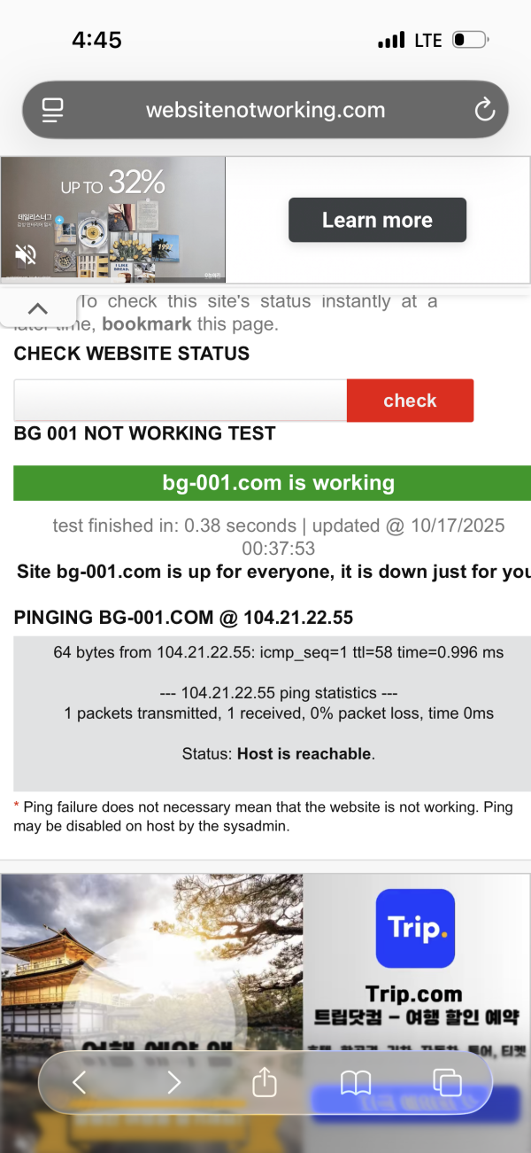 빙고카지노/심플카지노 260만원 먹튀