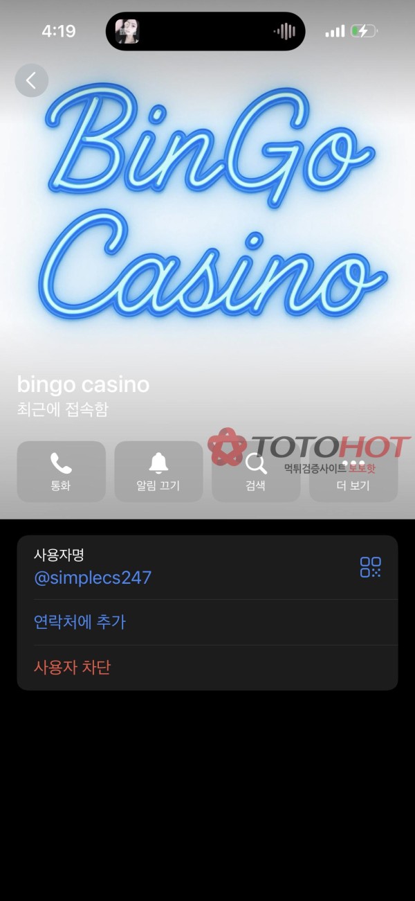 빙고카지노/심플카지노 260만원 먹튀