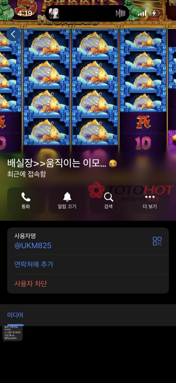 빙고카지노/심플카지노 260만원 먹튀