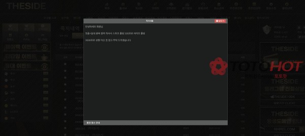 더사이드 원금까지 싹다 몰수후 잠수
