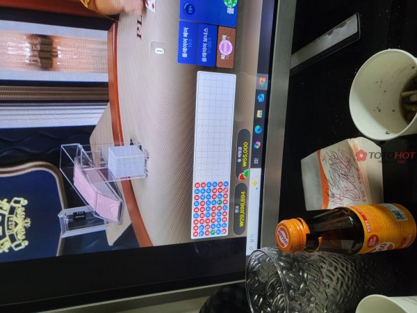 망고벳.  2980만원 먹티 조심하세요