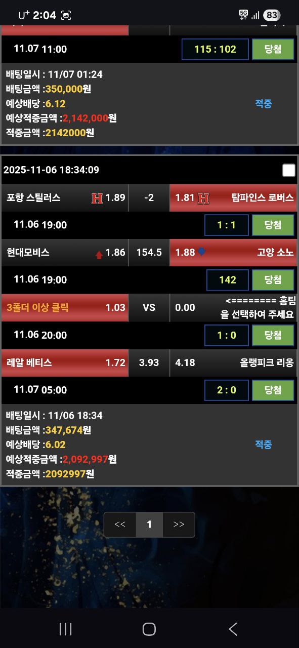 접속 먹튀 개쓰레기집단