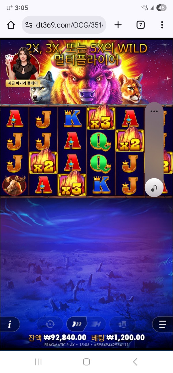 다트 카지노 먹튀 500