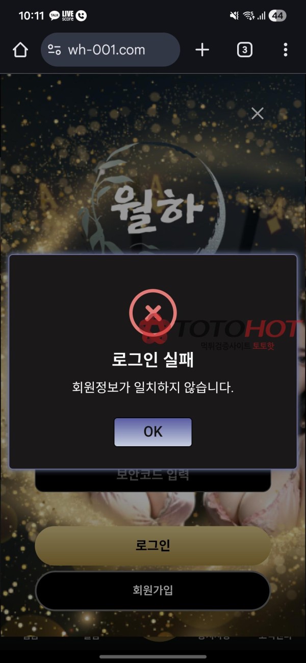 월하 먹튀