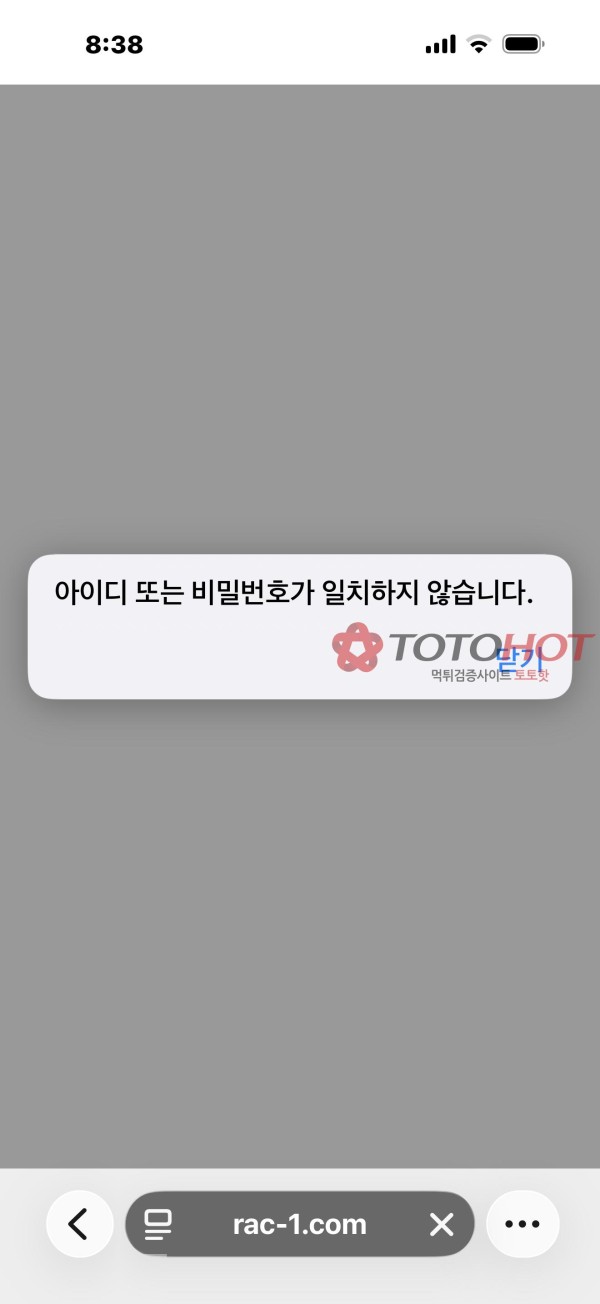 라쿤 5300만원 먹튀입니다
