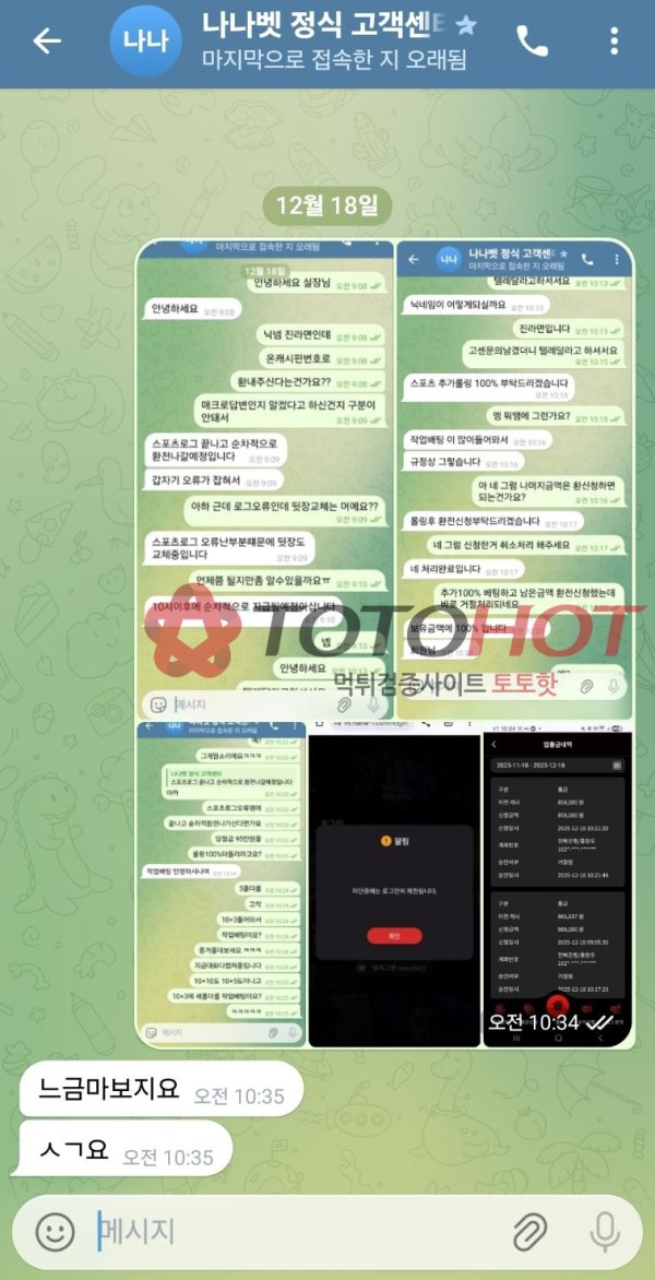 나나벳 nana-1 98만원 먹튀