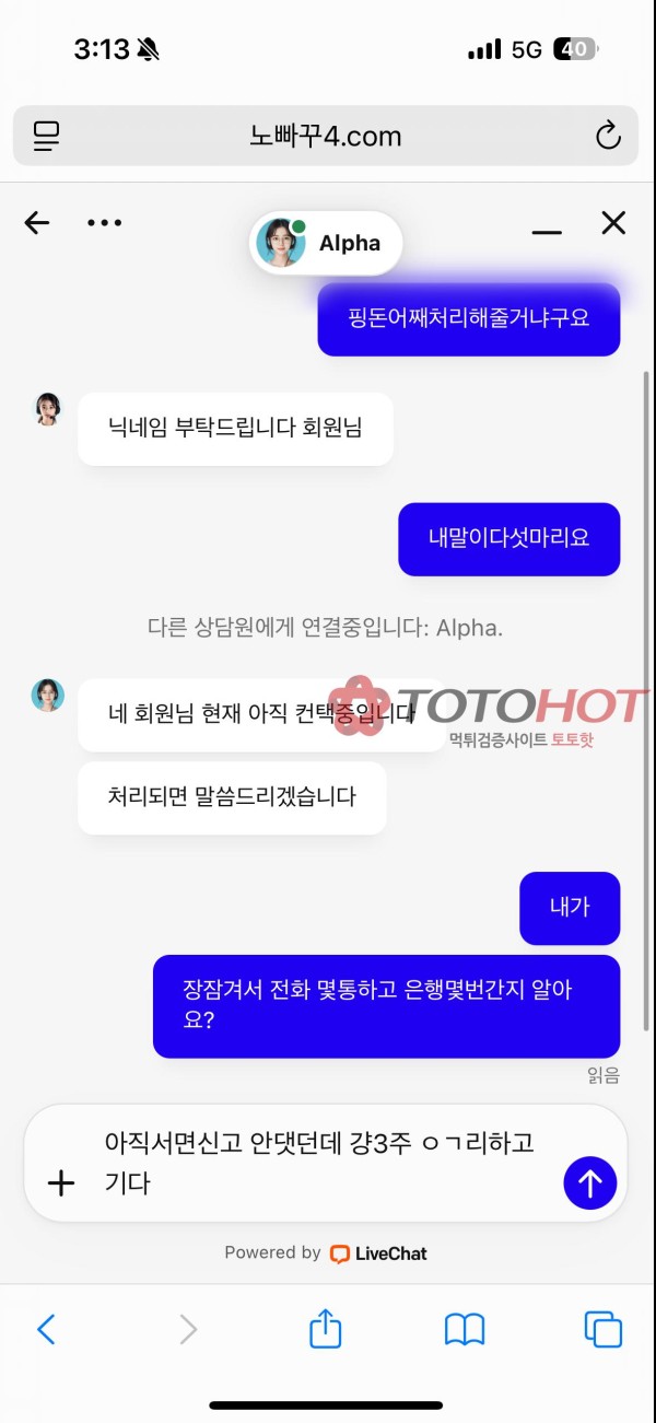 노빠꾸 환전 핑동