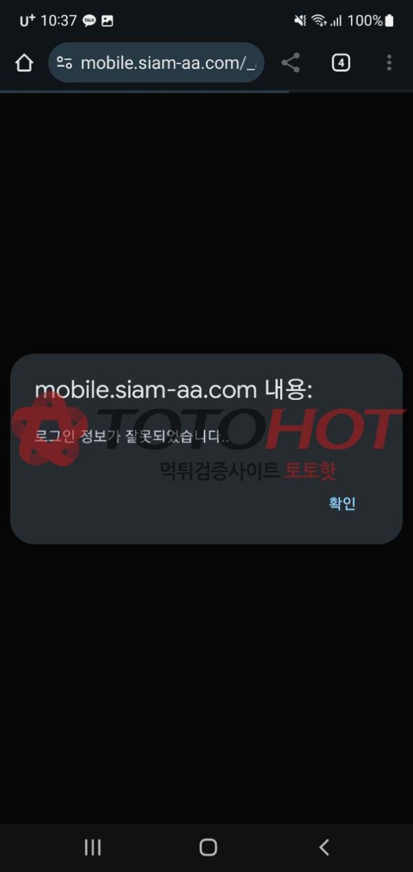 샴 시암 핑돈 환전 내줍니다 이용중 이신분 쓰지마세요