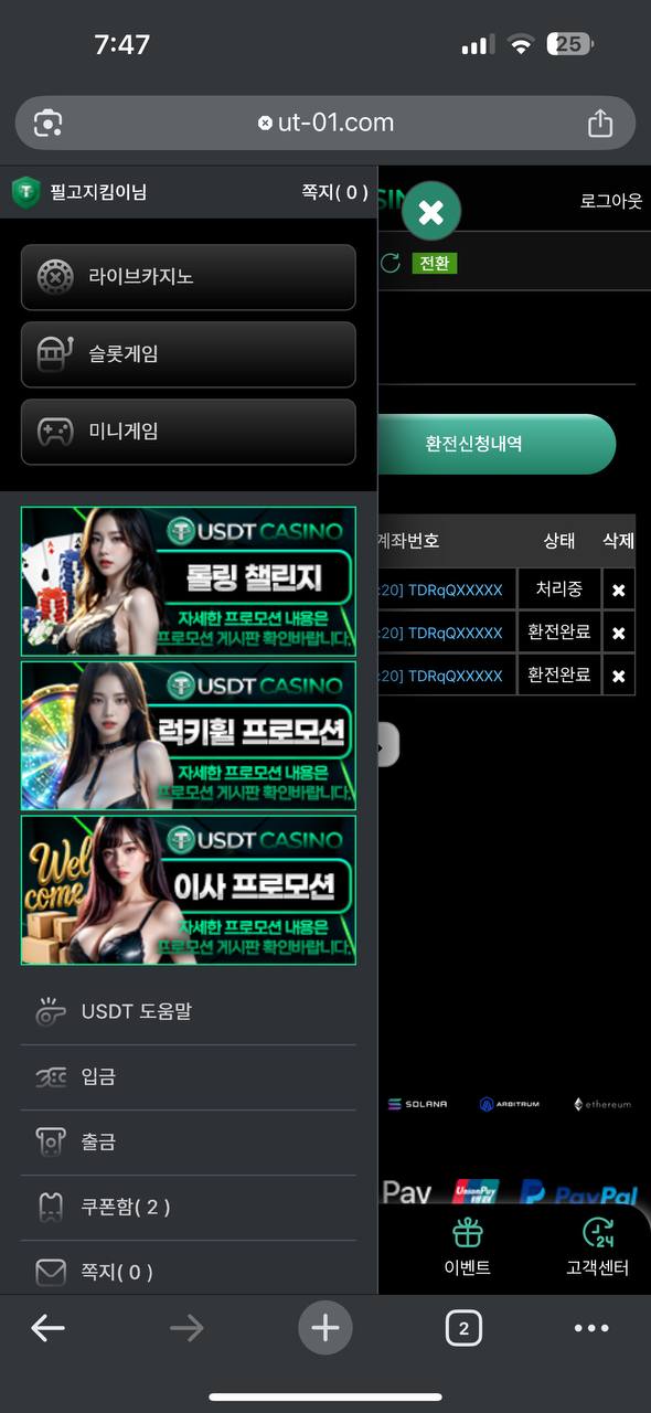 USDT 카지노 먹튀