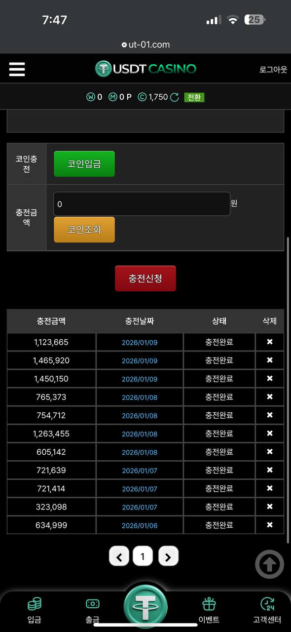 USDT 카지노 먹튀