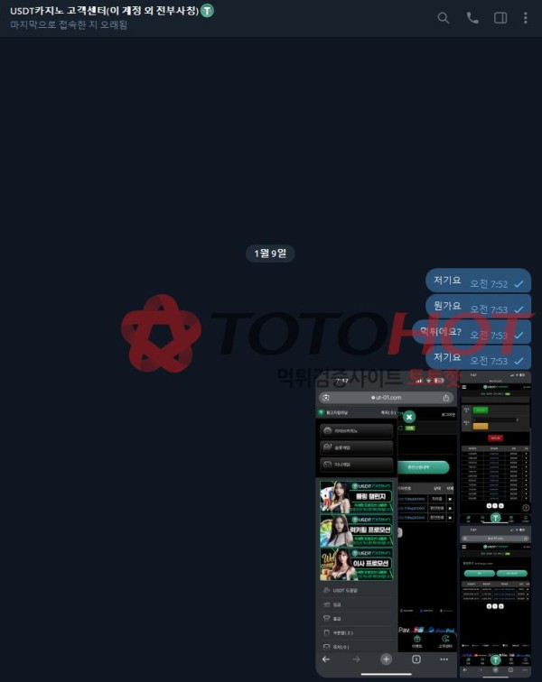 USDT 카지노 먹튀