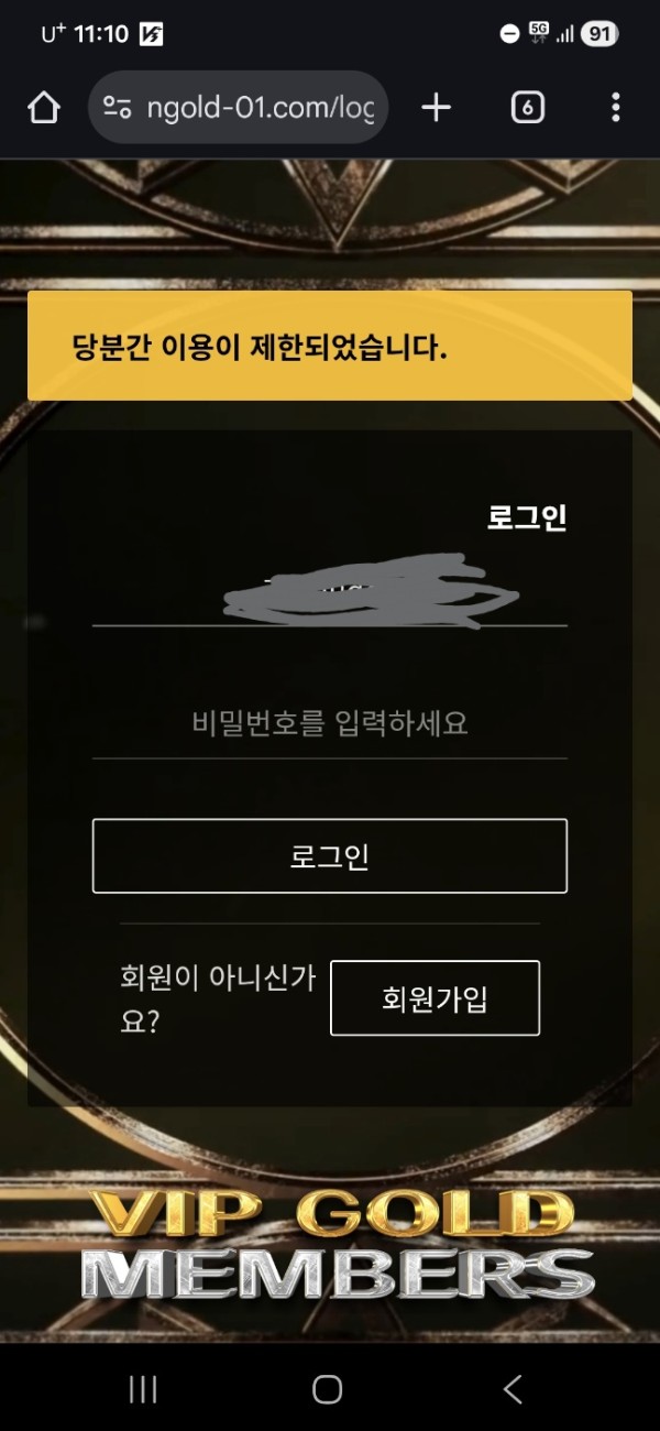 엔골드 먹싸