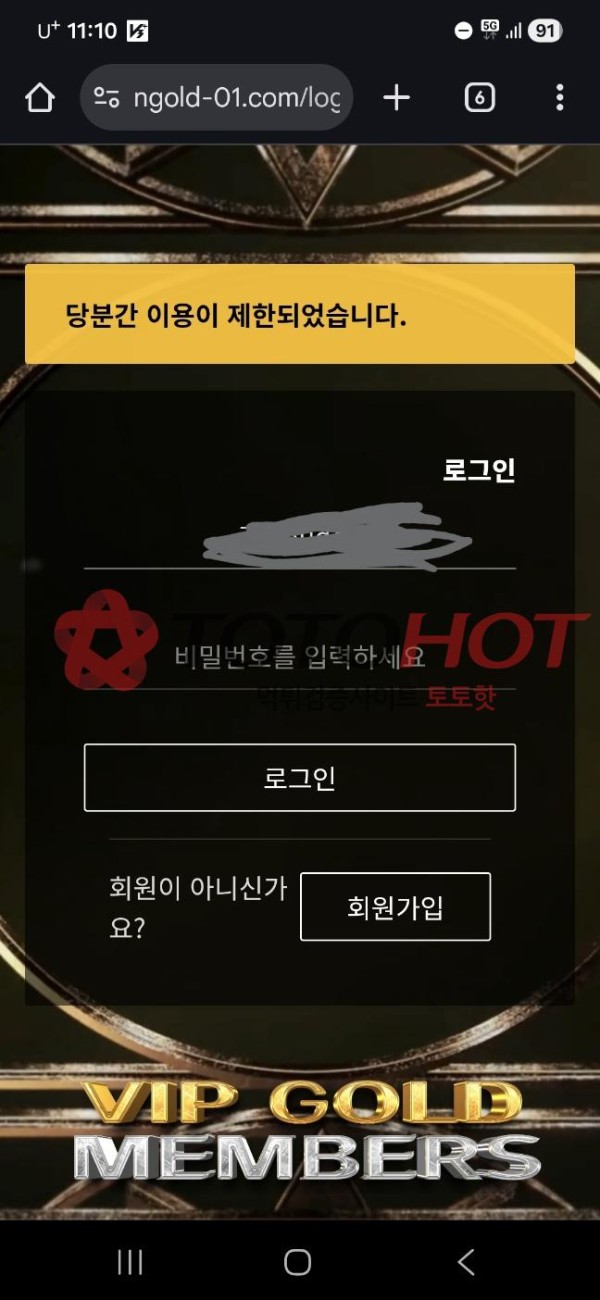 엔골드 먹싸