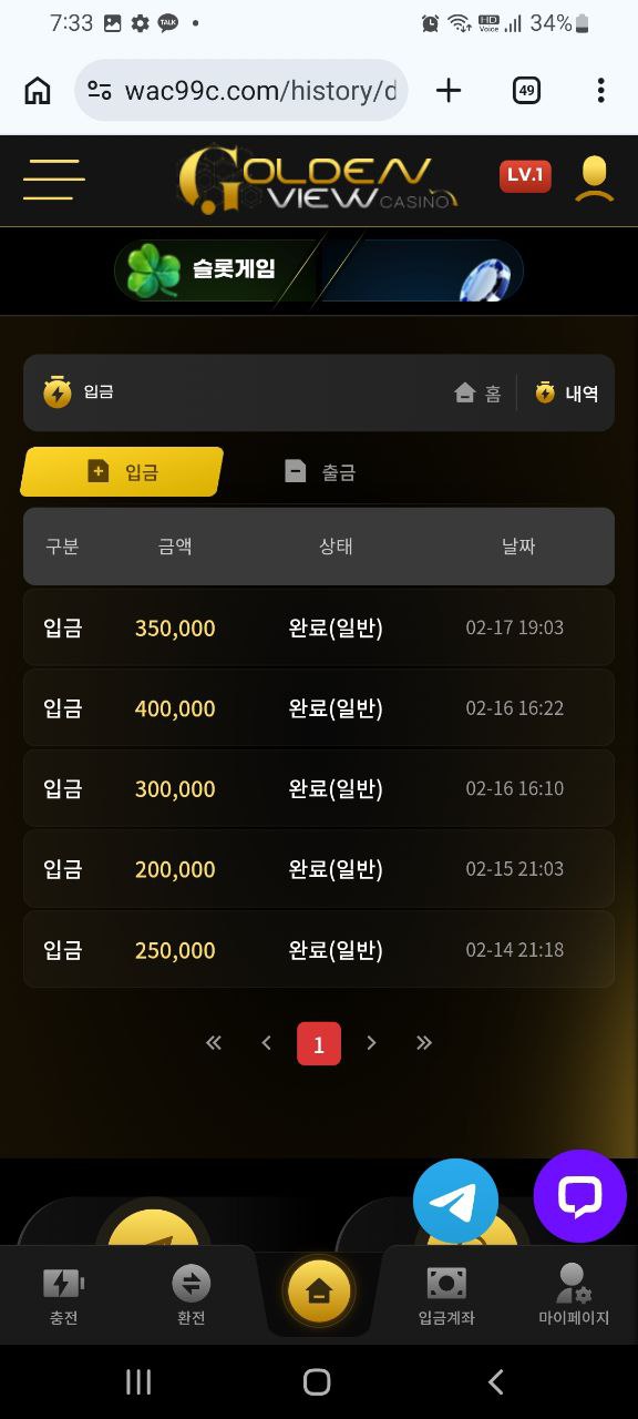 골든뷰 60만원 먹튀...