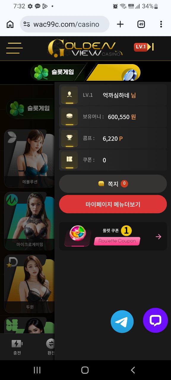골든뷰 60만원 먹튀...