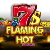 플레밍 핫 익스트림