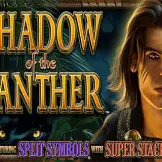 섀도우 오브 더 팬서