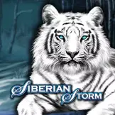 시베리안 스톰