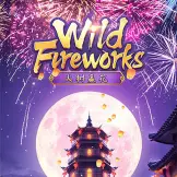 와일드 파이어워크스