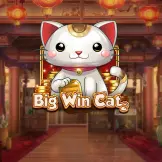 빅 윈 캣